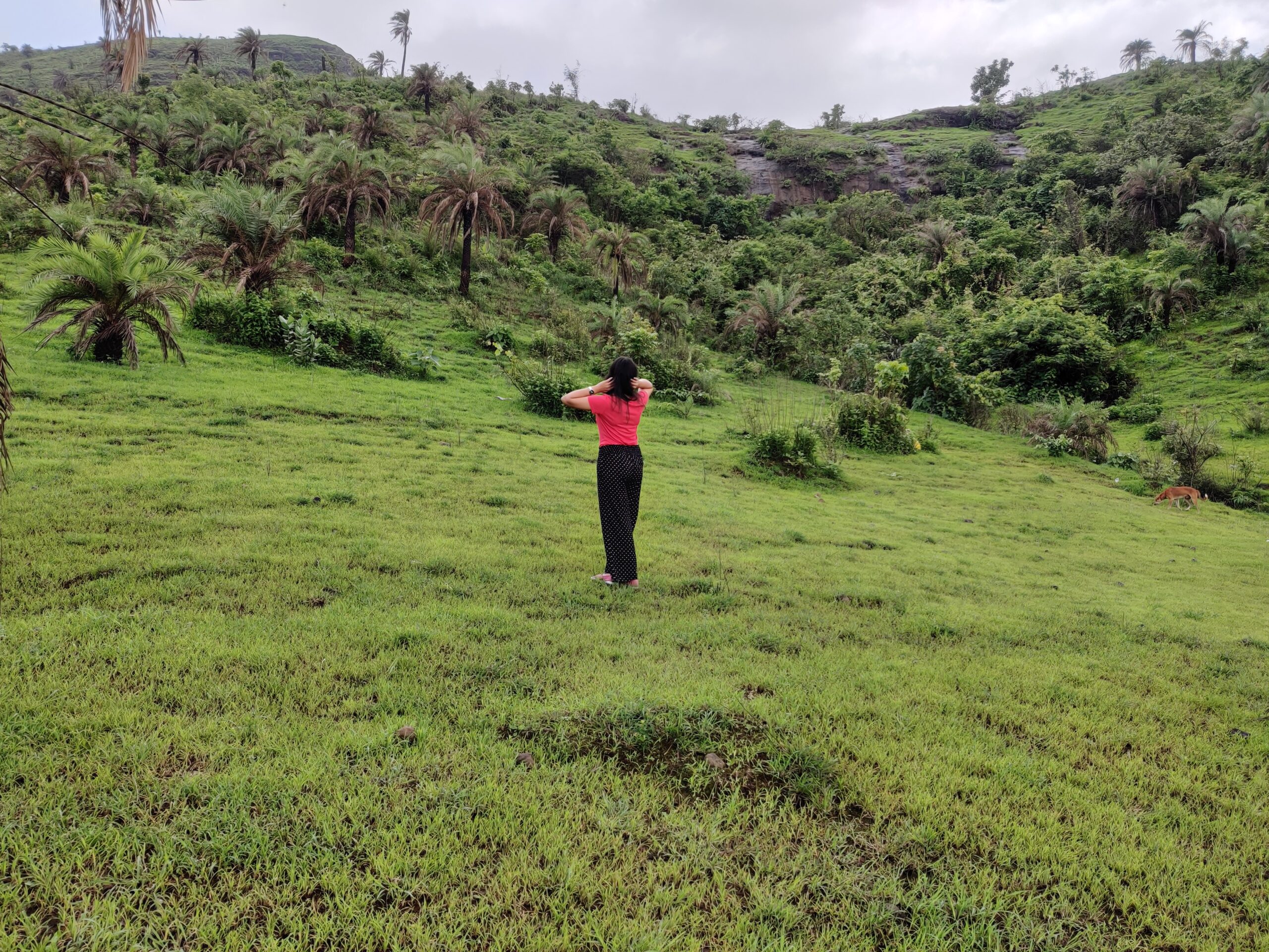 Thokarwadi Dam : Places to visit in Pune in one day