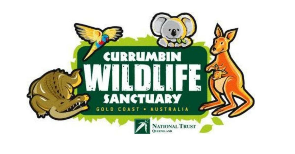 Currumbin Wildlife Sanctuary Tour: All You Need to Know - TripToMeter