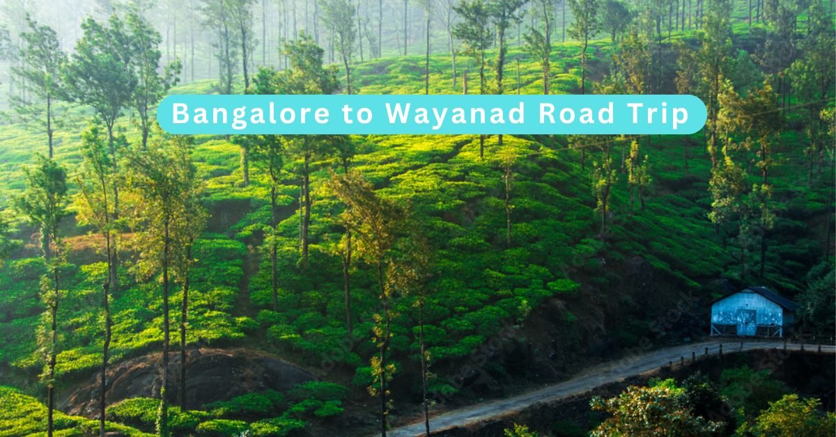 bangalore to wayanad trip itinerary