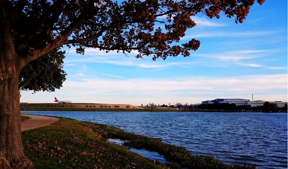 Bachman Lake Park: A Day-Off Spent Well