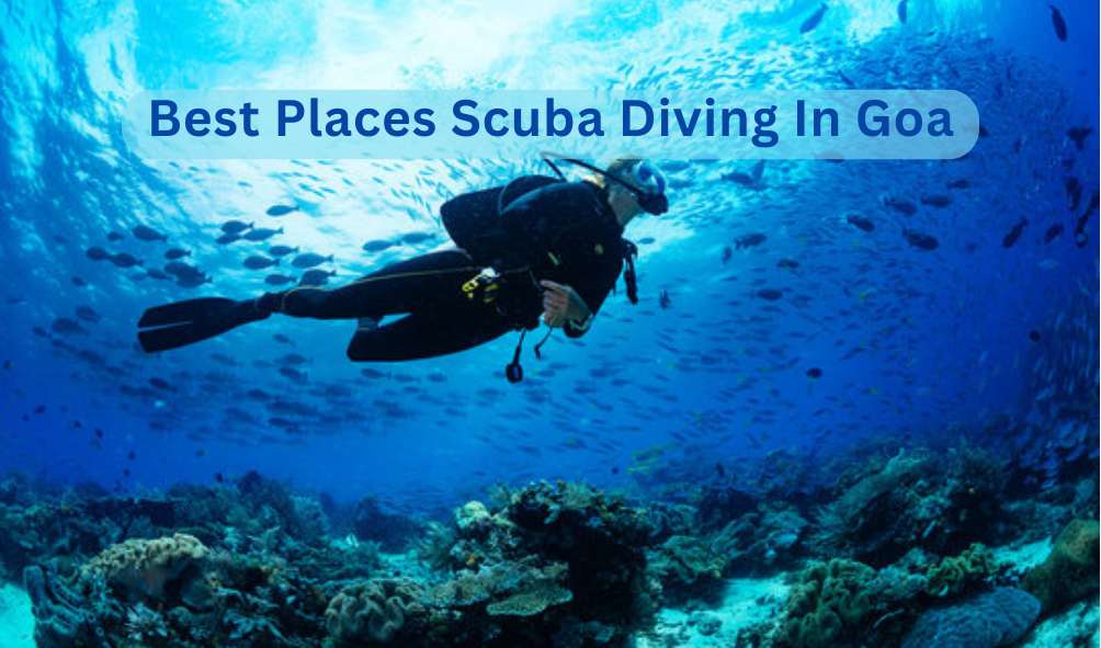 11 Best Places for Scuba Diving in Goa